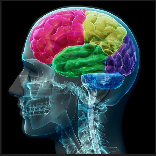 brain colorado shooting color optical war
