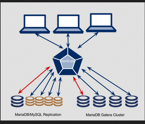 maria database