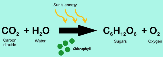 cho_equation_photo_sun_Capture