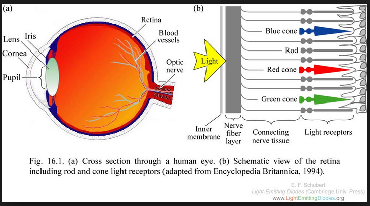 eye rod rodam clinton