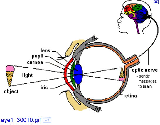 picture - eye images