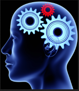 brain gears 5555
