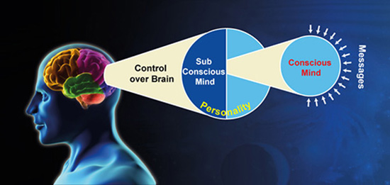 brain pic-2