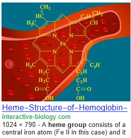 heme%20%20%203